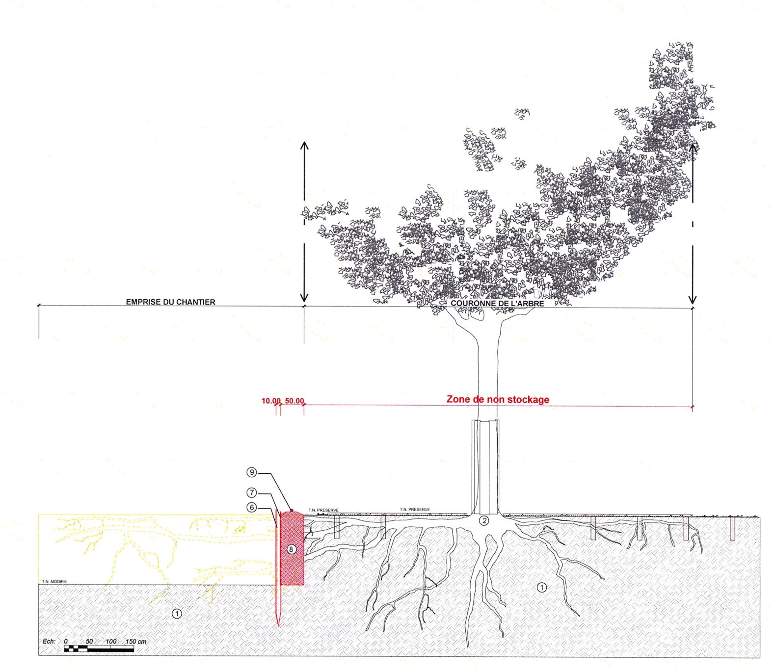 schema coupe arbres