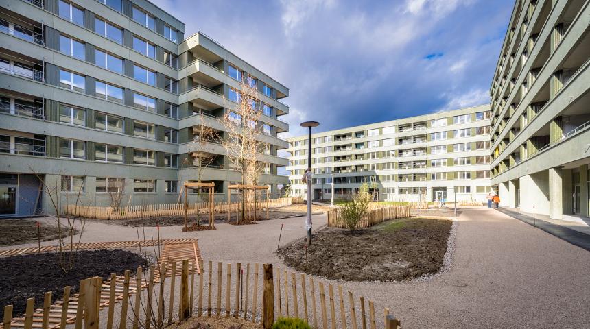 Cour de Vessy février 2026