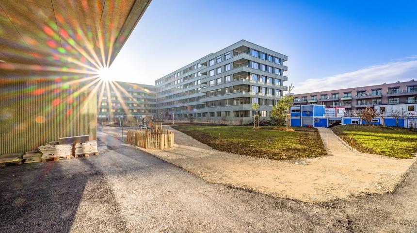 Cour de Vessy décembre 2025