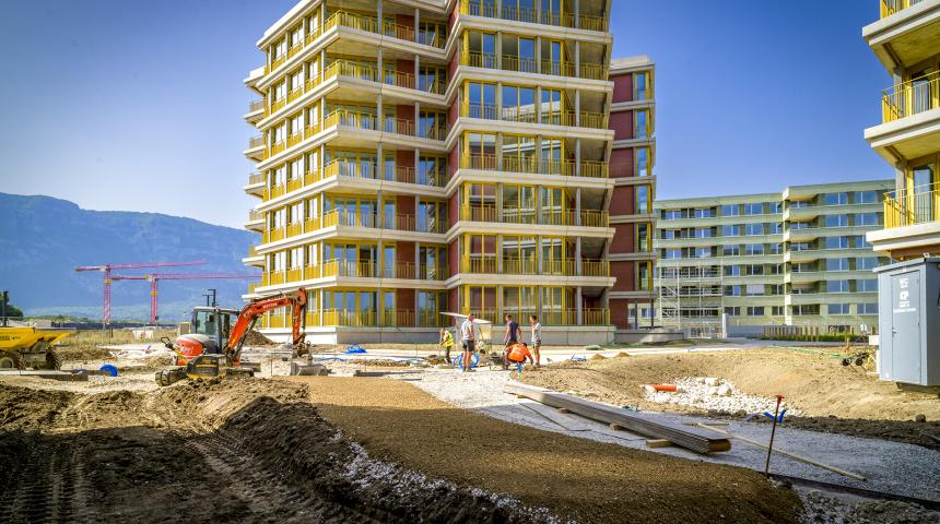 Messicoles août 2025