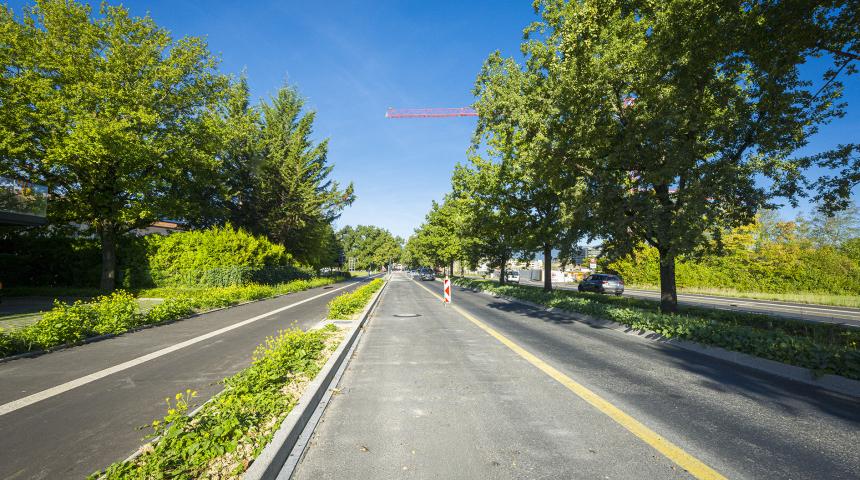 Route cantonale septembre 2025
