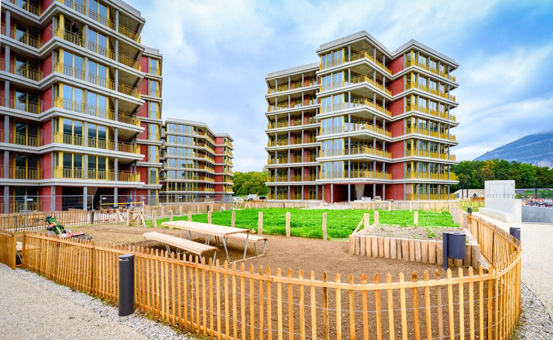 Messicoles